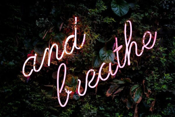 Photo Create a Mind