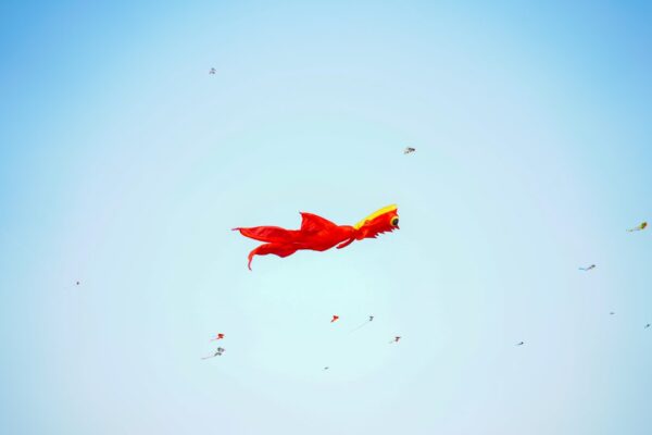 Photo Born to Fly
