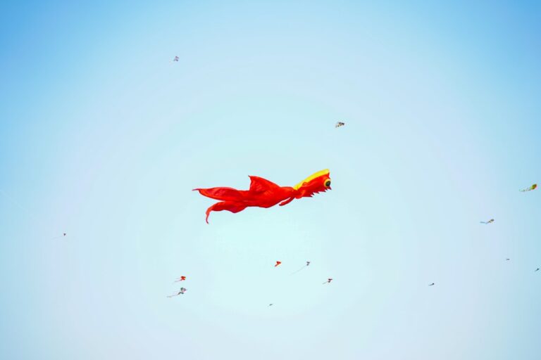 Photo Born to Fly