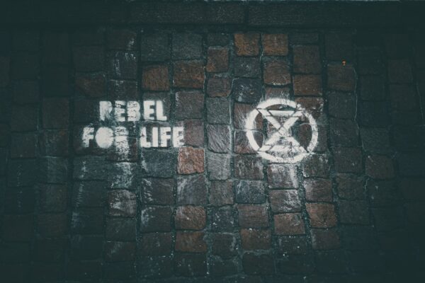 Photo Nevertheless