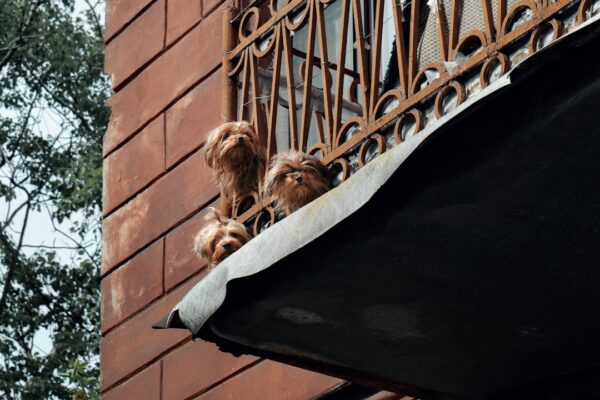 Photo SCADA Security