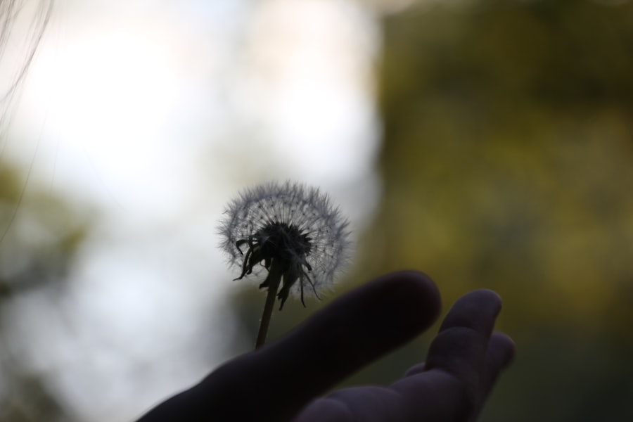Magical Thinking