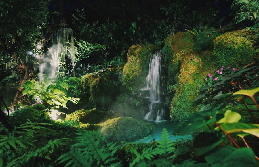 Jungle