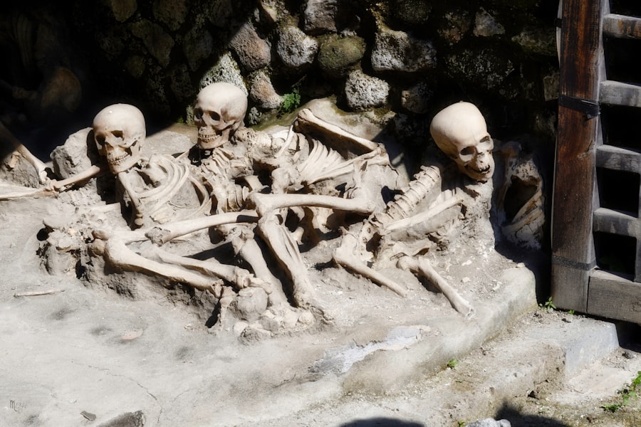 Skeletons on the Zahara