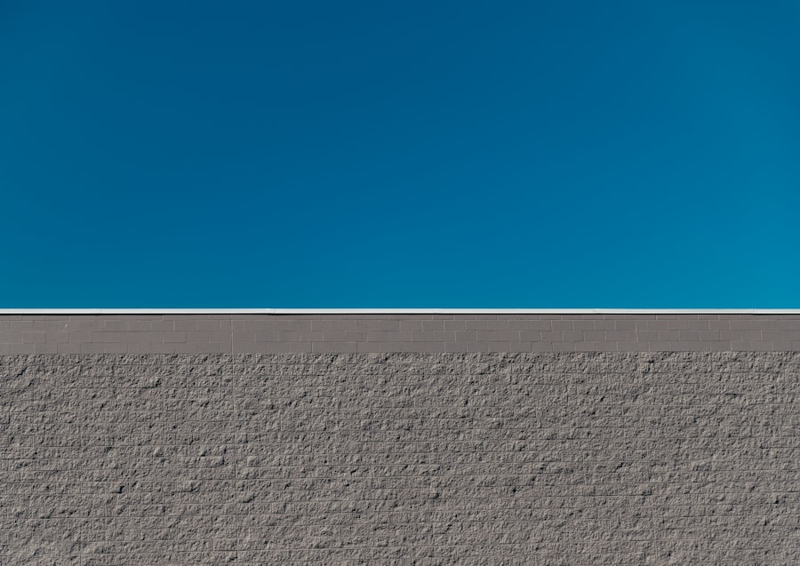 Shallows: Internet Brains