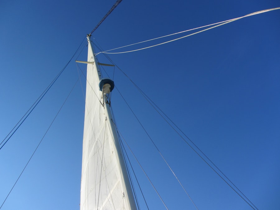 Harnessed the Wind