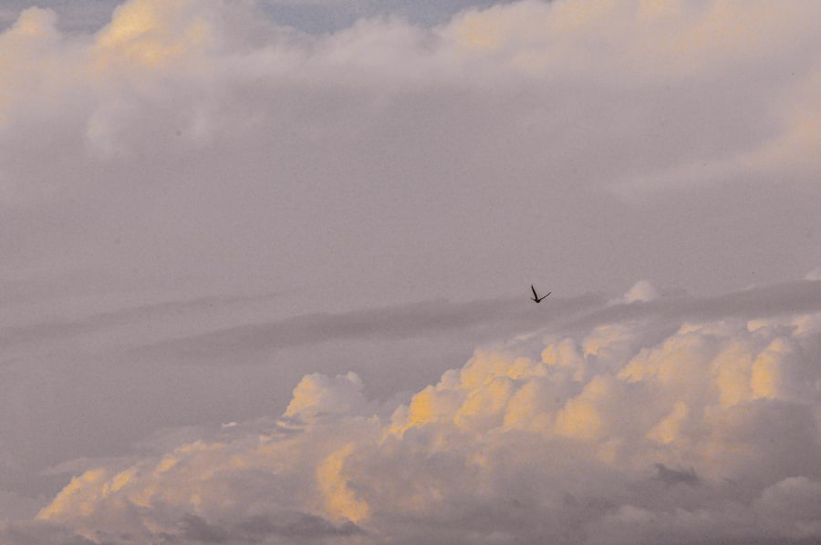 Alone in the Sky