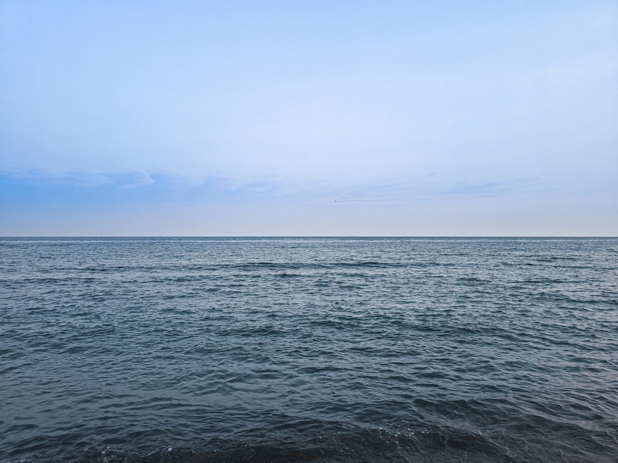 Kingdom by the Sea