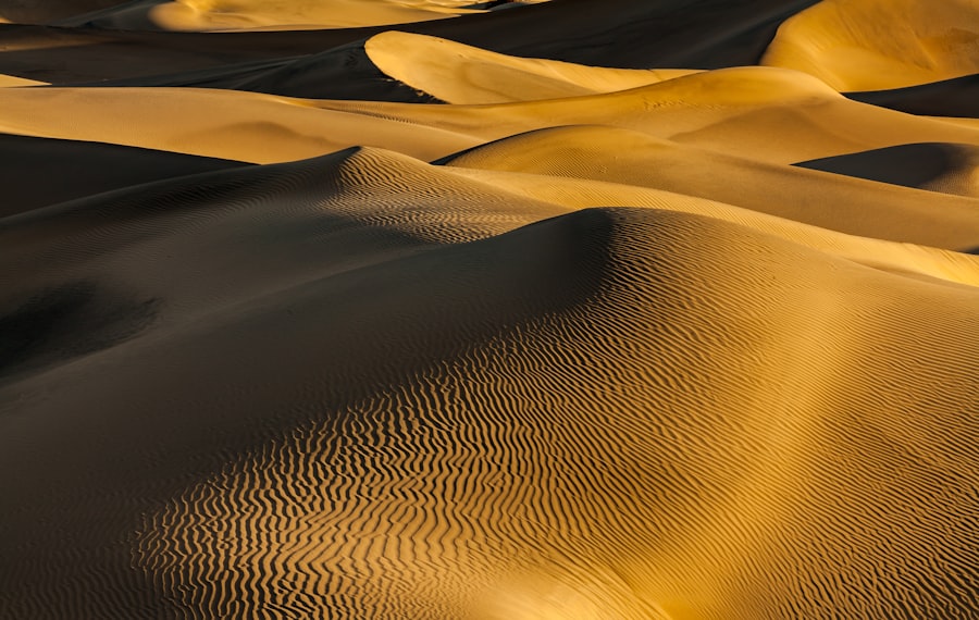 Arabian Sands