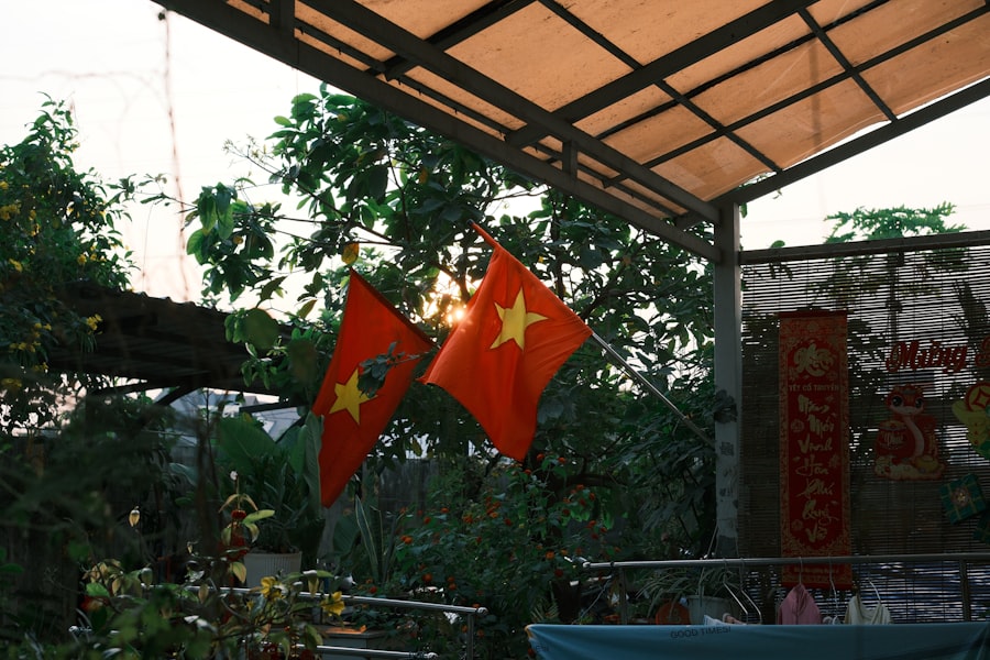 Americas First Ace in Vietnam