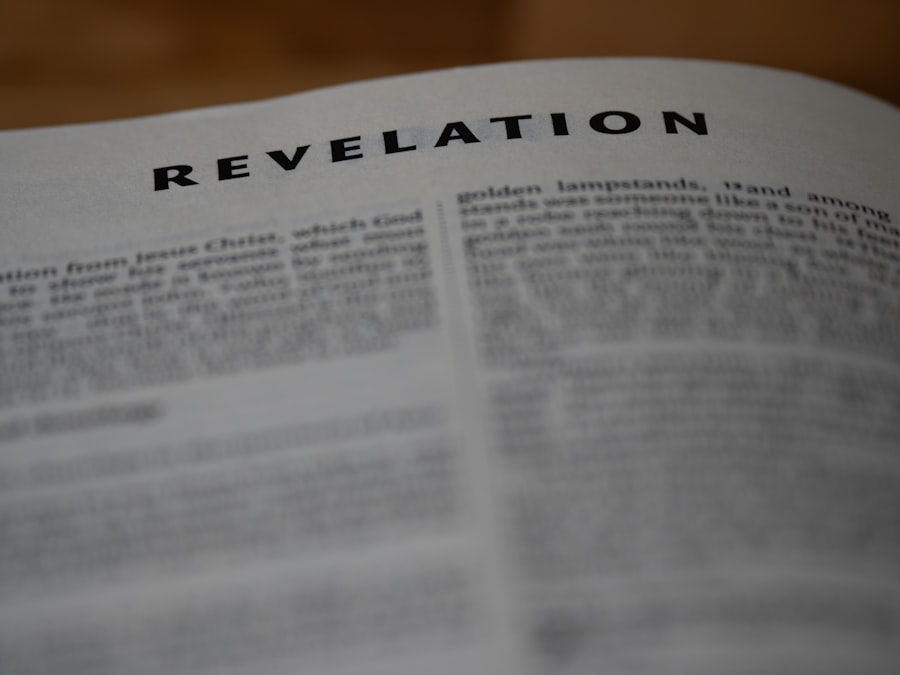 Photo E-Myth Revisited