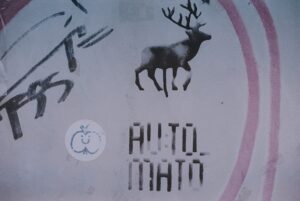 Photo Thich Nhat Hanh
