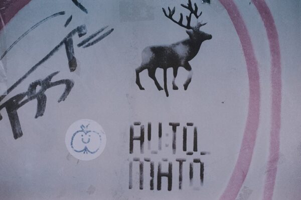 Photo Thich Nhat Hanh