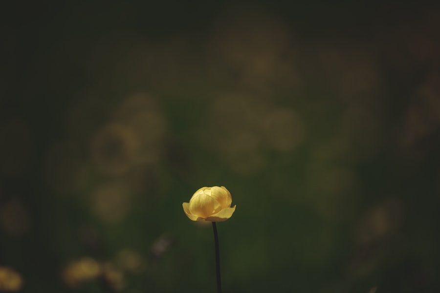 Photo Reminiscences
