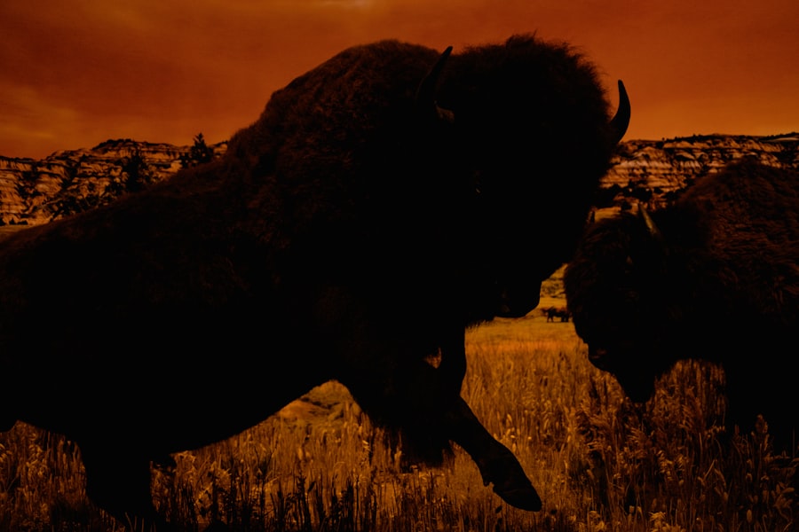 Photo Killing Giants