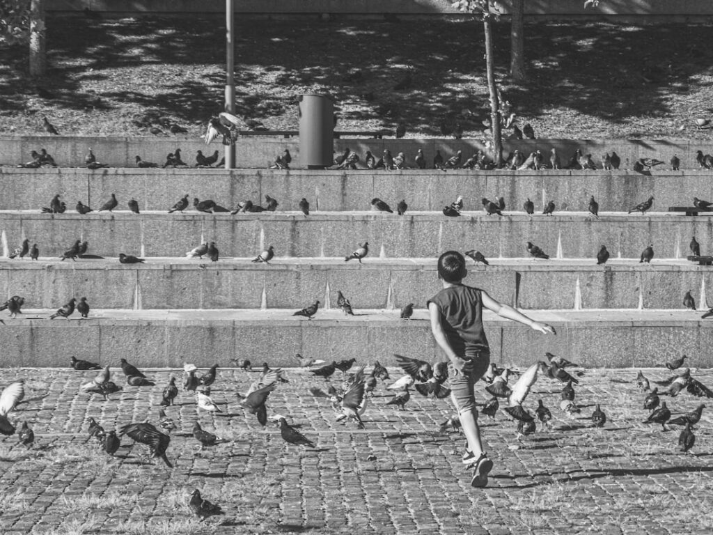 Photo Benjamin D Foulois