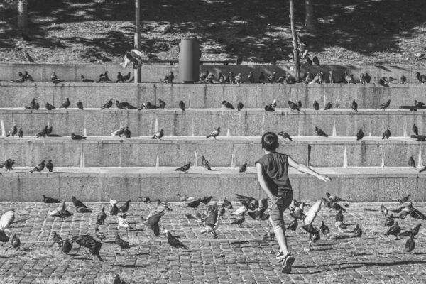 Photo Benjamin D Foulois