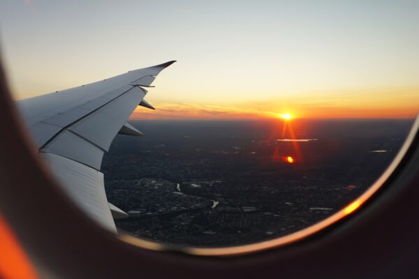 Photo Fly