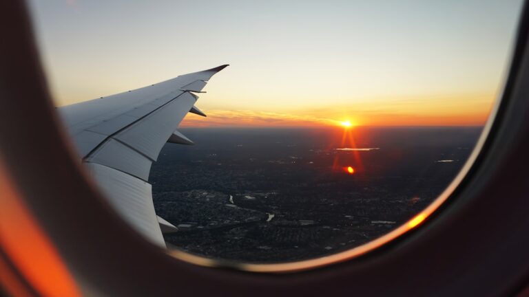 Photo Fly