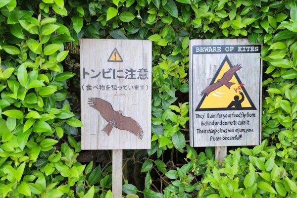 Photo Reading Natures Signs