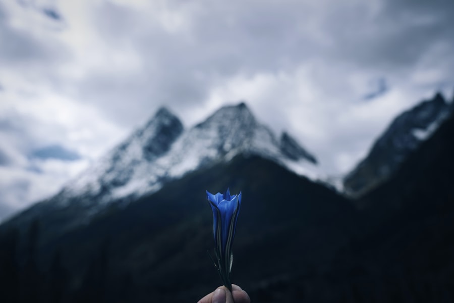Photo Magical Thinking