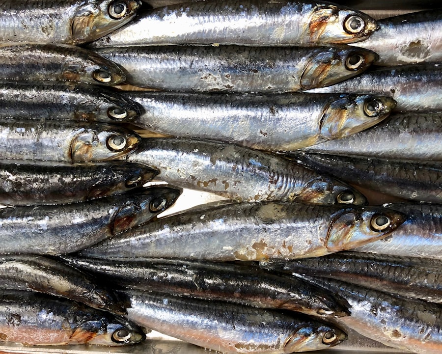 Photo Mediterranean Diet