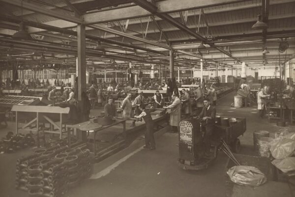 Photo Membership Economy