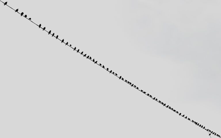 Photo Outliers