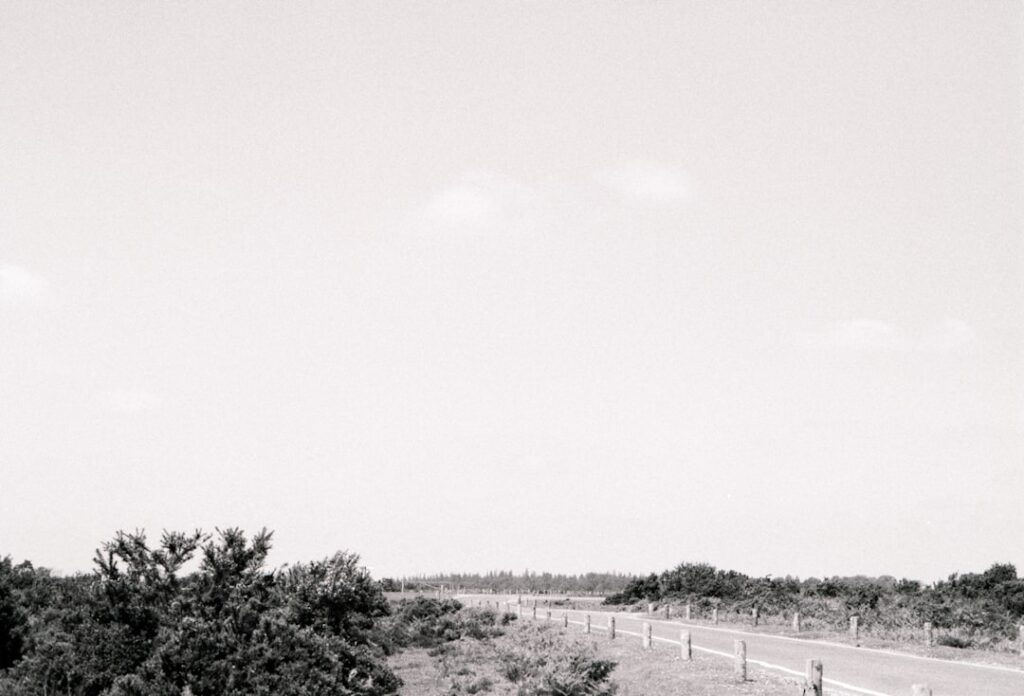 Photo Walden on Wheels
