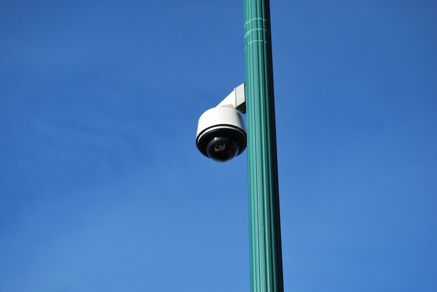 Photo Surveillance Capitalism