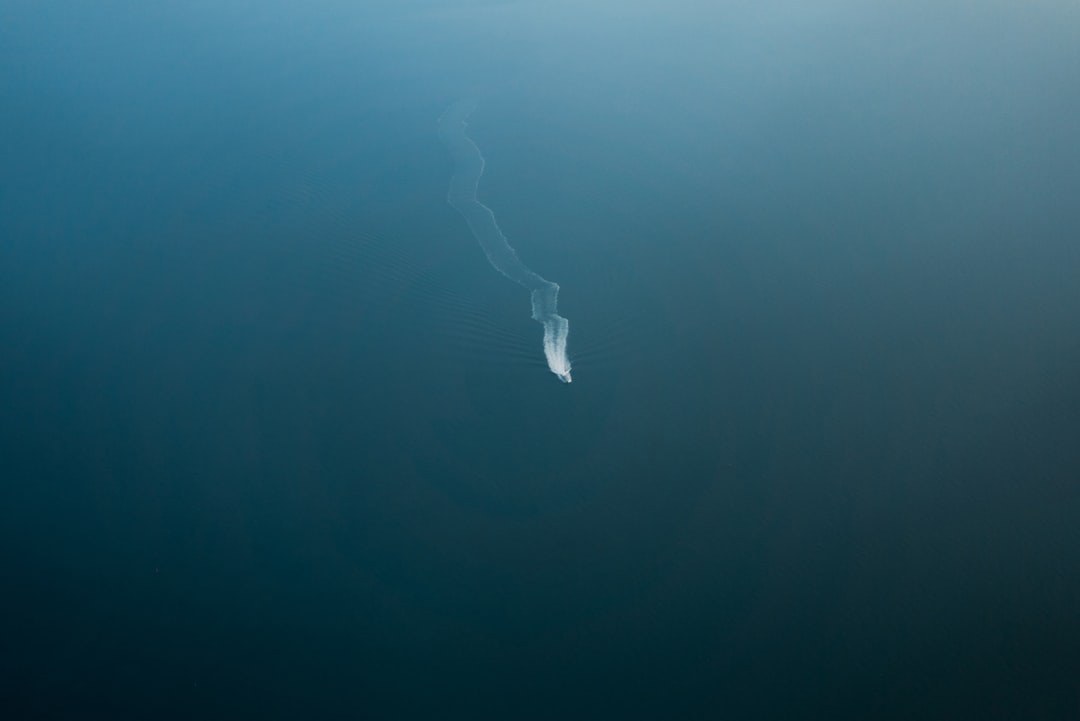 Invisible Influence: The Hidden Forces that Shape Behavior — Jonah ...