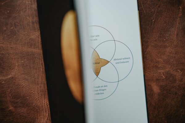 Photo Lean Product Playbook