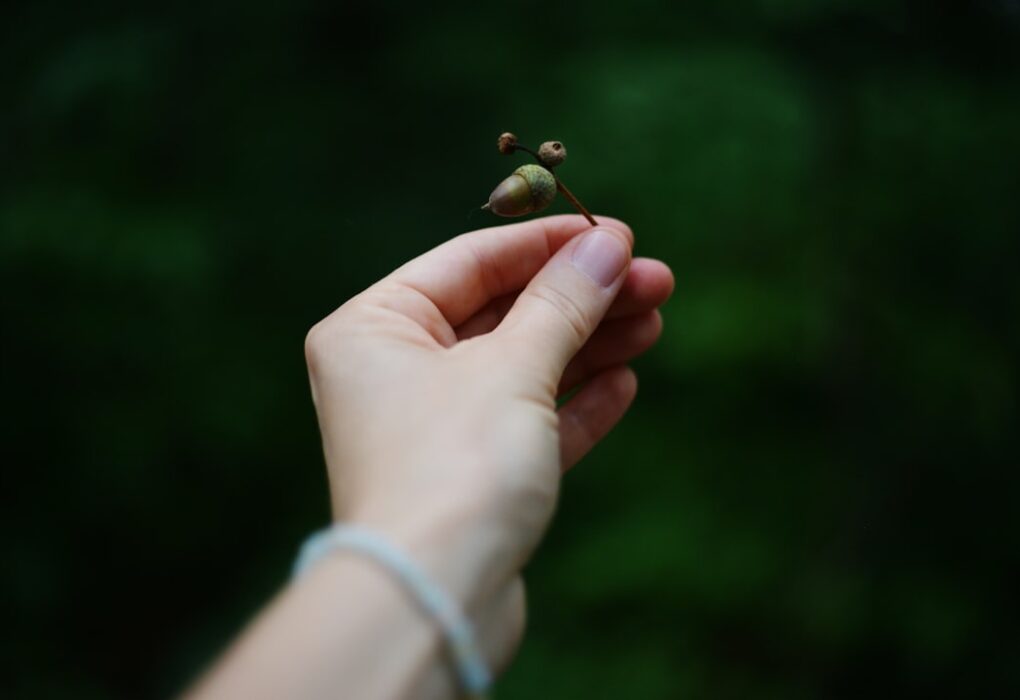 Photo Tiny Habits