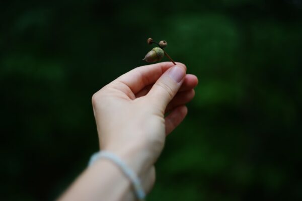 Photo Tiny Habits