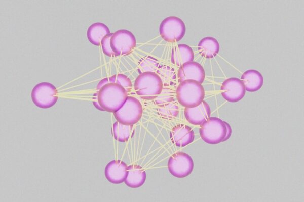 Photo Wealth of Networks