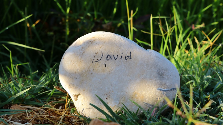Photo Charles Darwin