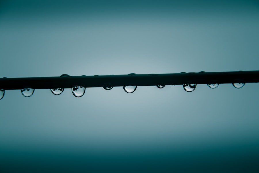 Photo Night of the Gun