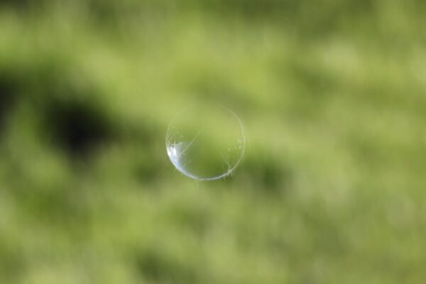 Photo Filter Bubble