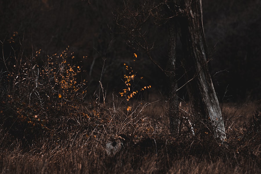 Photo Henrietta Lacks