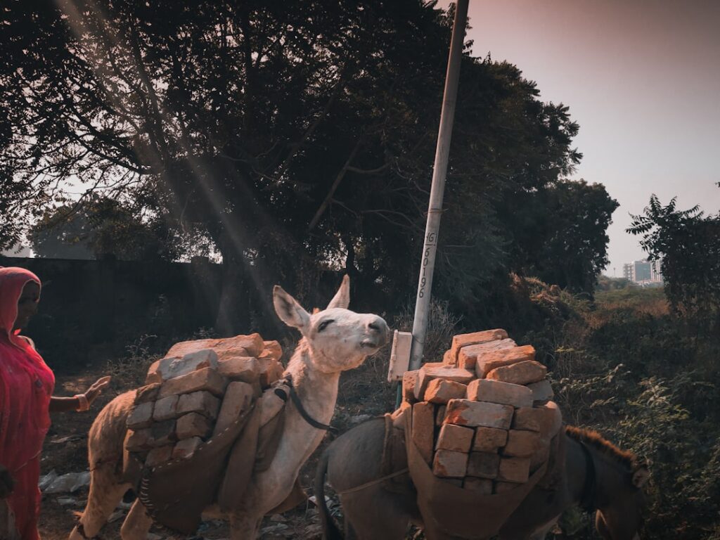 Photo Peaceful Warrior