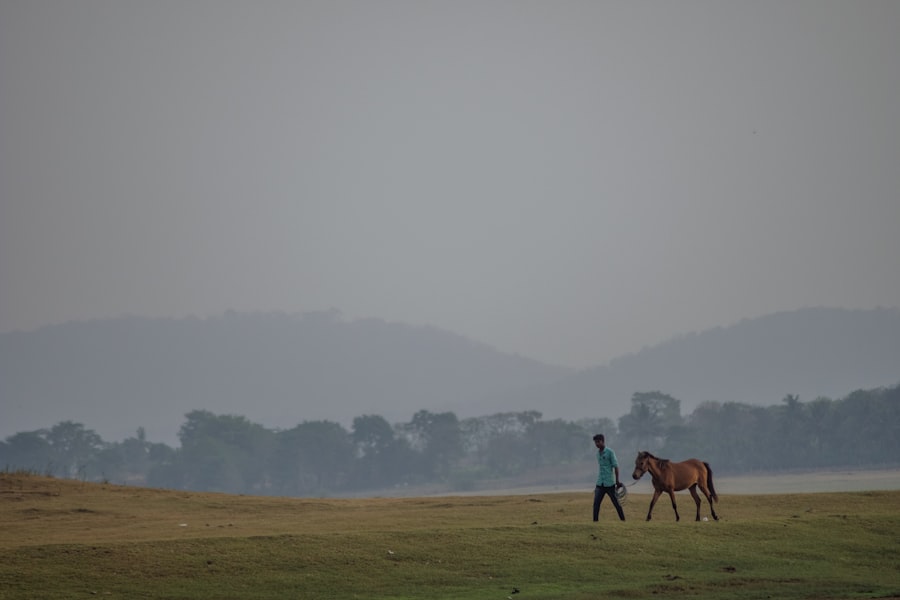 Photo River-Horse