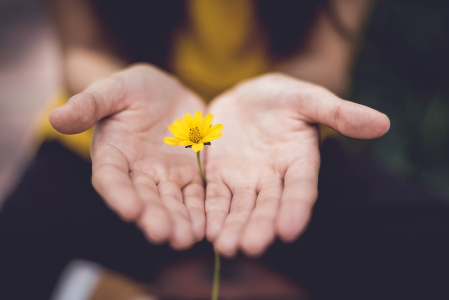 Photo Mindfulness