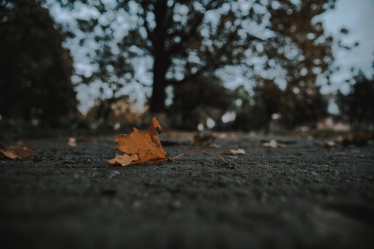 Photo A Thousand Shall Fall