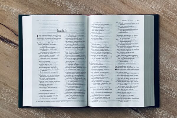 Photo Book of Why