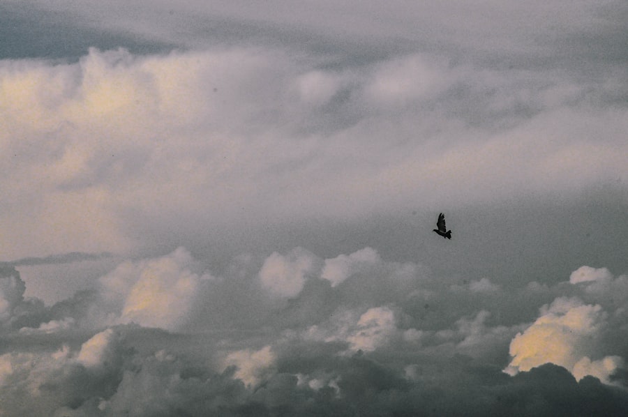 Photo Alone in the Sky