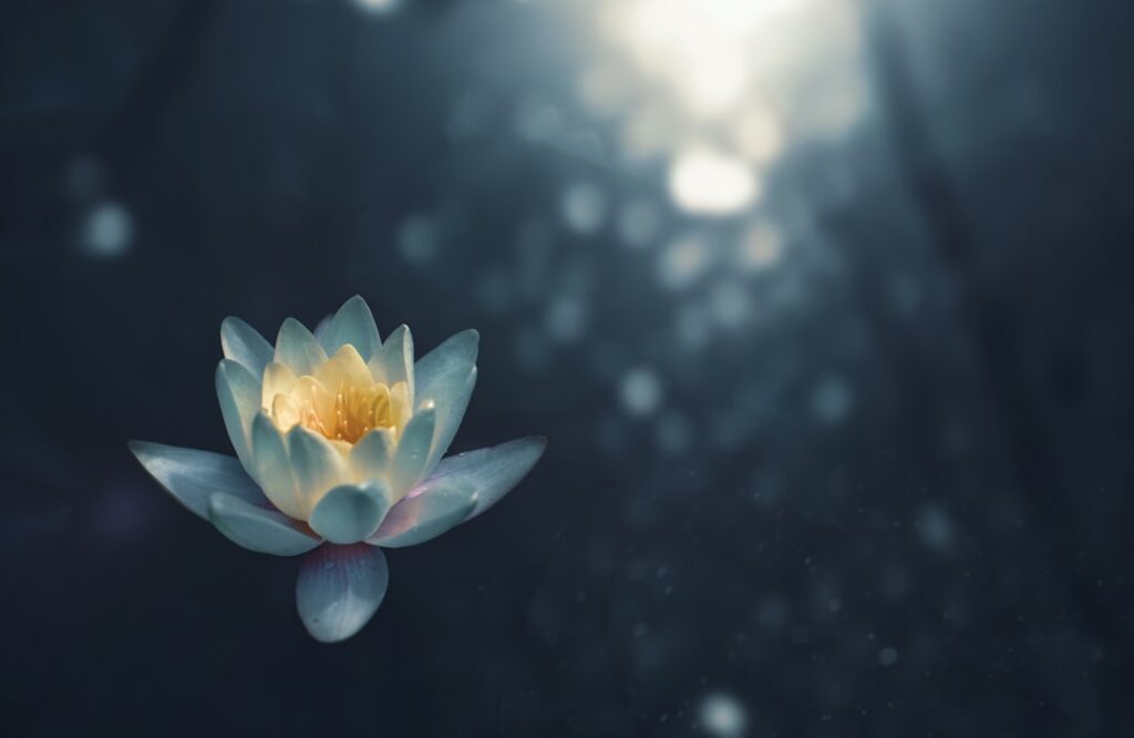 Photo Mindfulness
