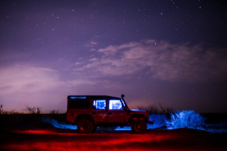 Photo Dark Star Safari