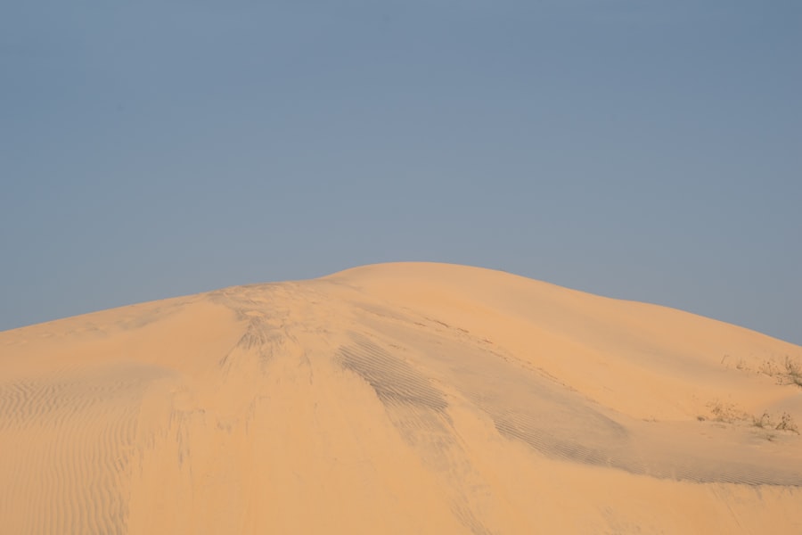 Photo Arabian Sands