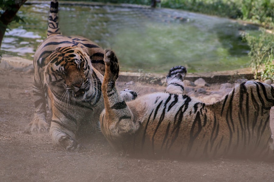 Photo Flying Tigers Diary