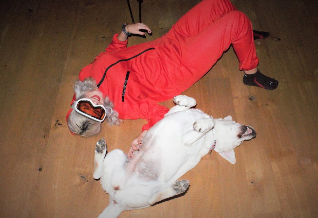 Photo Dont Lets Go to the Dogs Tonight